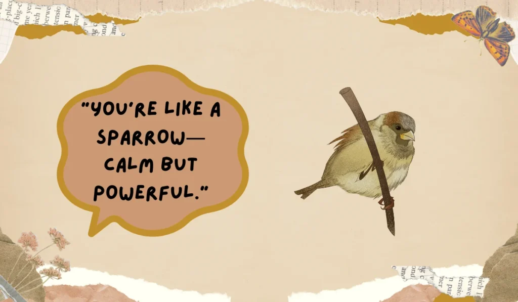 sparrow meaning