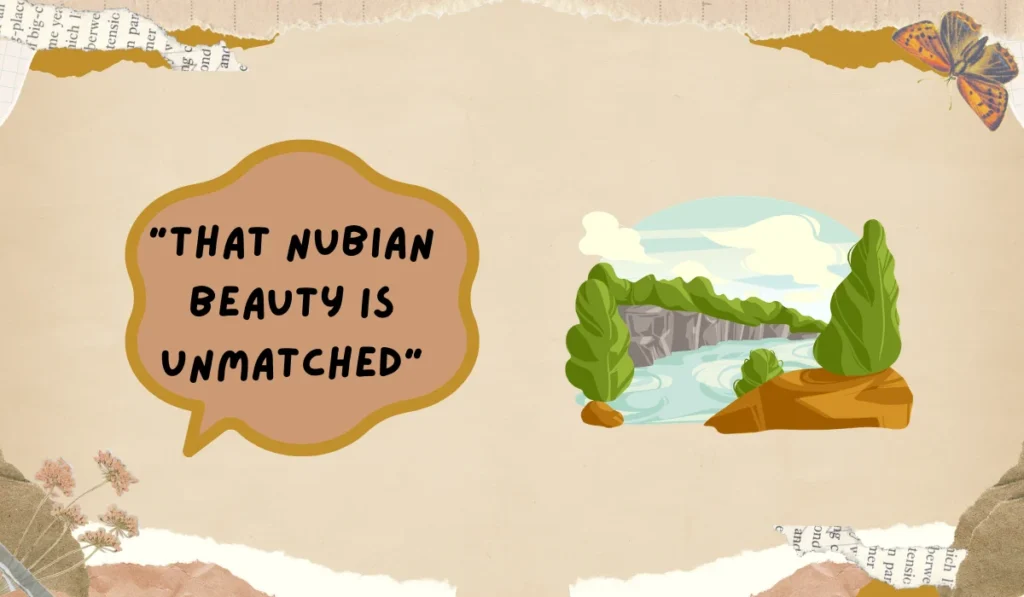 nubian meaning