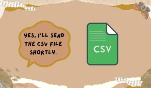 csv meaning
